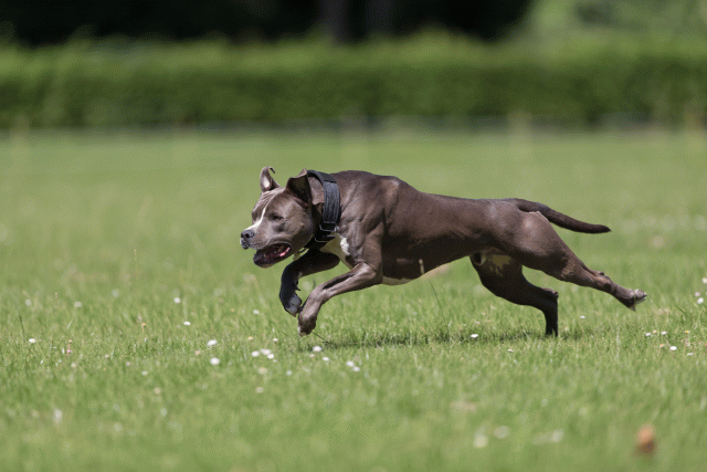 Cs3Q5257 20307949358 O