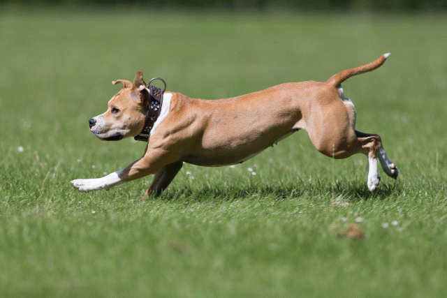 Cs3Q5703 20308788119 O