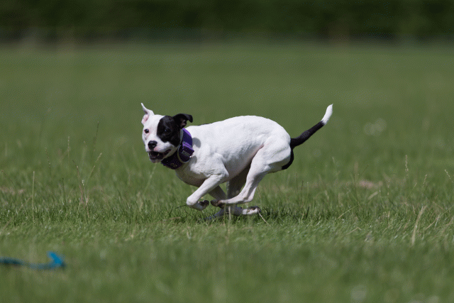 Cs3Q5811 20308820259 O