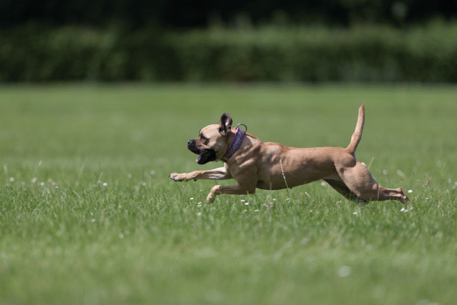 Cs3Q5805 20308826269 O