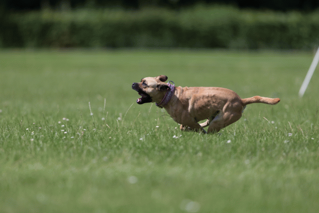 Cs3Q5804 20308827629 O