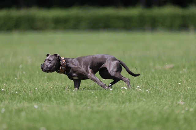 Cs3Q5787 20308846059 O