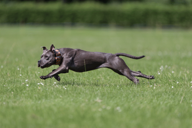 Cs3Q5786 20308847519 O