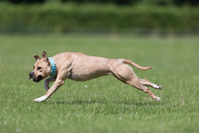 Cs3Q5776 20308857599 O