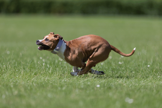 Cs3Q5724 20308899349 O