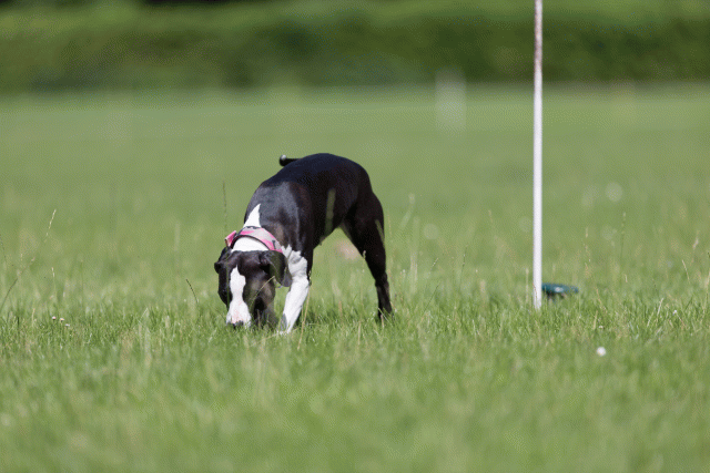 Cs3Q5709 20308913749 O