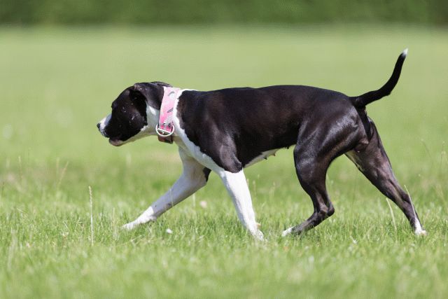 Cs3Q5707 20308916999 O