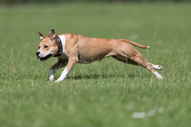 Cs3Q5697 20308925419 O