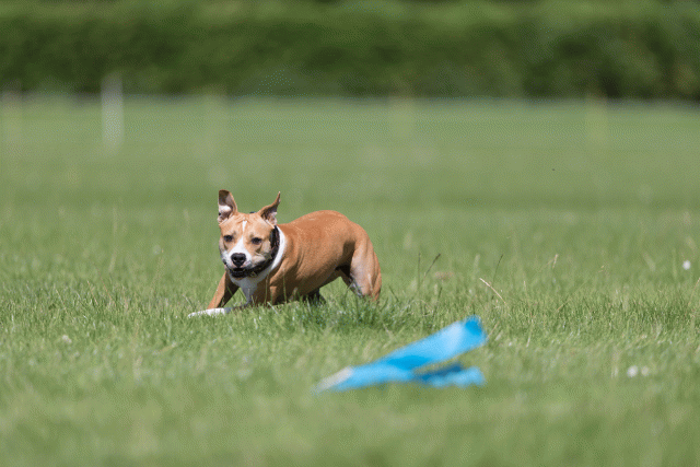 Cs3Q5693 20308930179 O