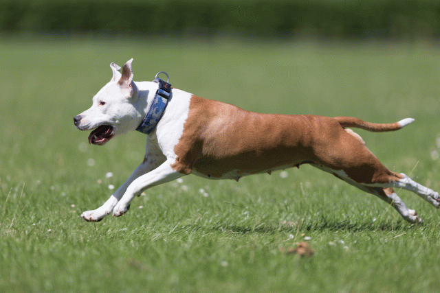 Cs3Q5632 20308972049 O