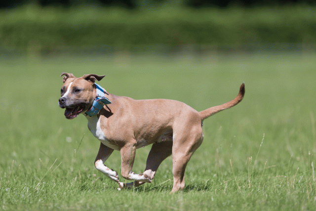 Cs3Q5609 20308996279 O