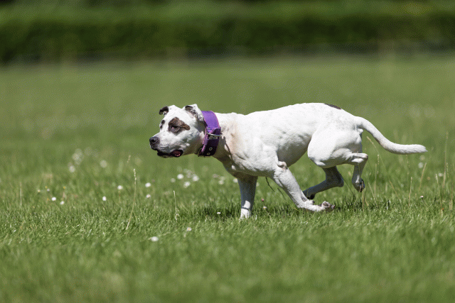 Cs3Q5566 20309035539 O