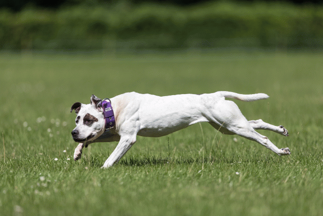 Cs3Q5561 20309040789 O