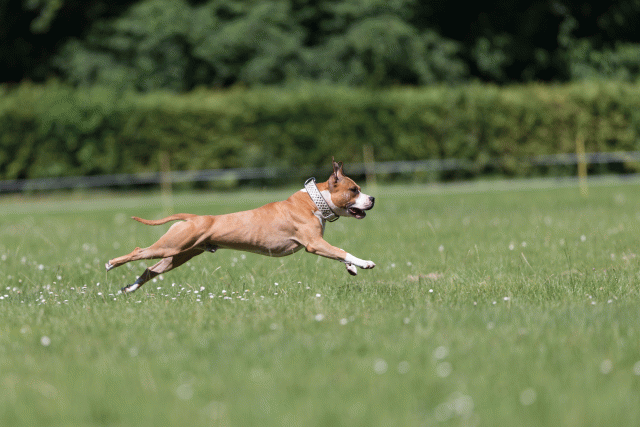 Cs3Q5530 20309074449 O