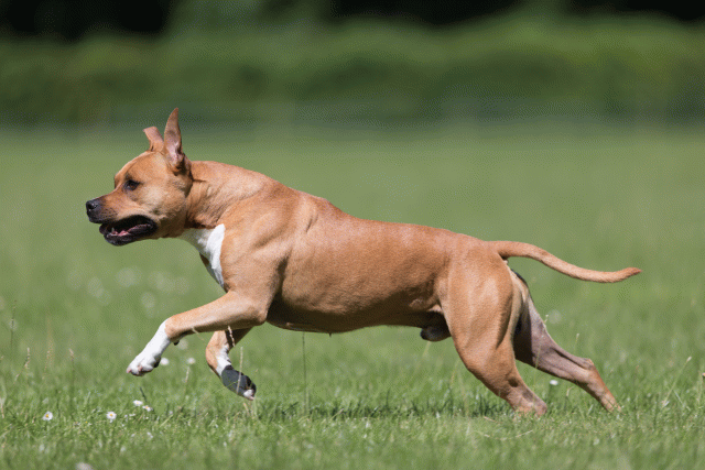 Cs3Q5497 20309103769 O