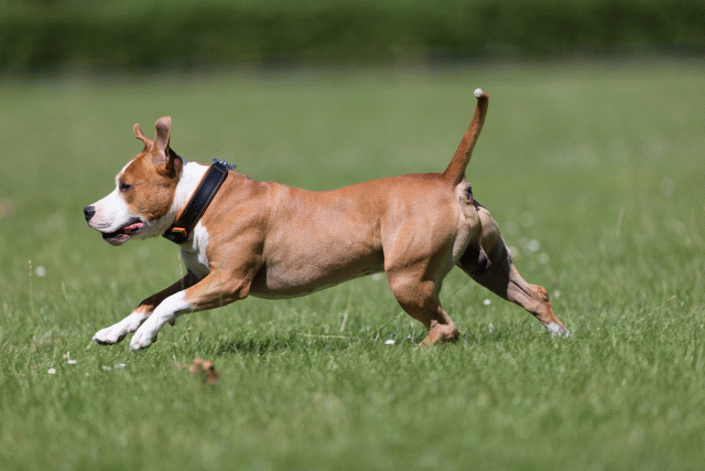 Cs3Q5471 20309127759 O