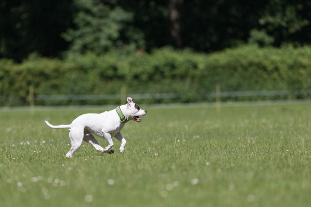 Cs3Q5417 20309173849 O