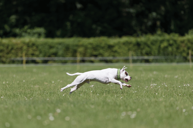 Cs3Q5414 20309175609 O