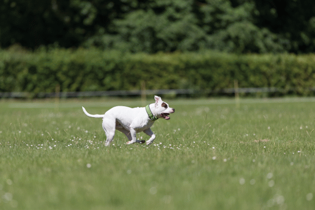 Cs3Q5409 20309179179 O