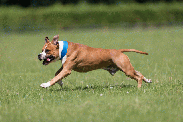 Cs3Q5365 20309222079 O