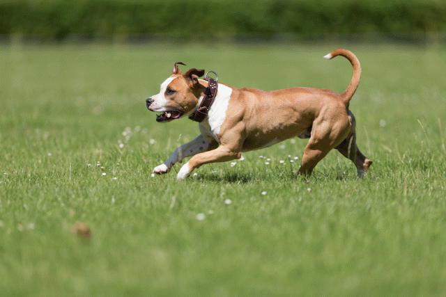 Cs3Q5343 20309242589 O