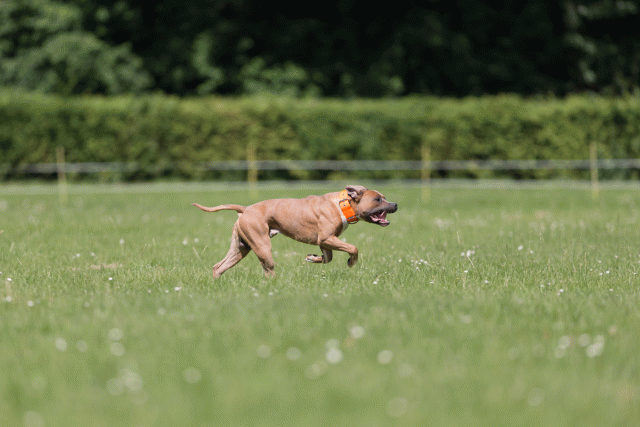 Cs3Q5282 20309295259 O