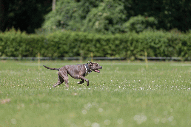 Cs3Q5261 20309312349 O