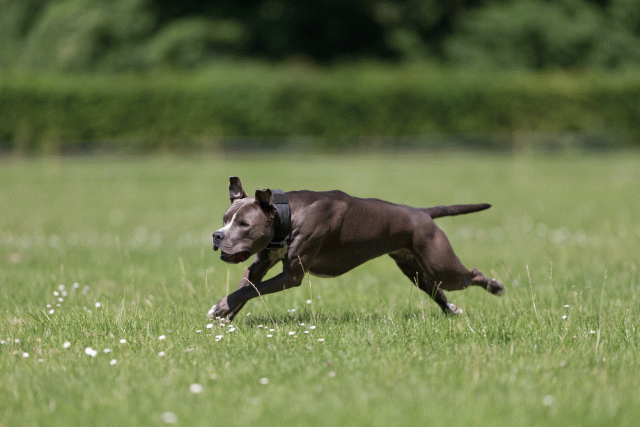 Cs3Q5254 20309319129 O