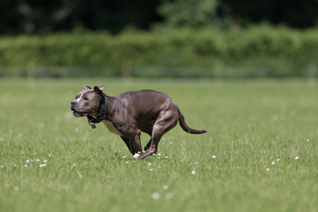 Cs3Q5251 20309322469 O