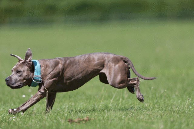 Cs3Q5773 20469234536 O