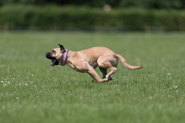 Cs3Q5793 20469285376 O