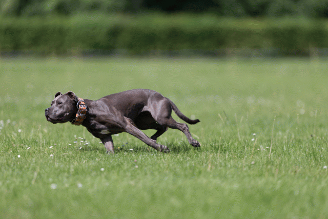 Cs3Q5784 20469296416 O