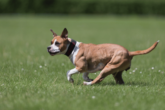 Cs3Q5768 20469308556 O