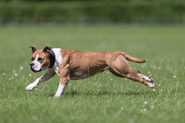 Cs3Q5759 20469317266 O