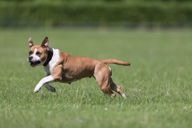 Cs3Q5755 20469321166 O