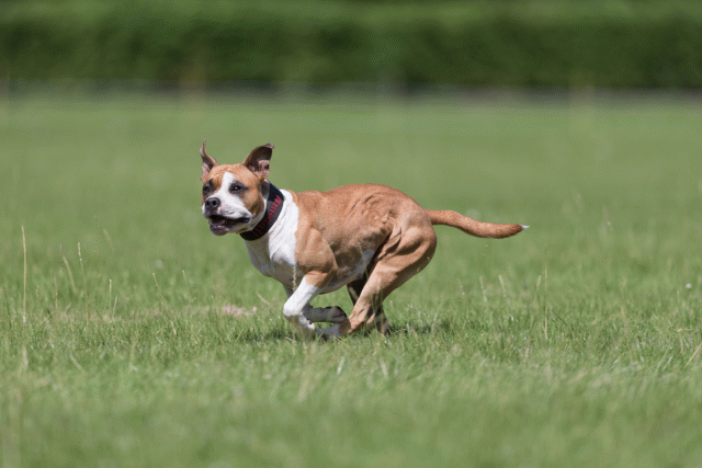 Cs3Q5751 20469324706 O