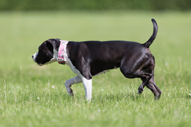 Cs3Q5706 20469364416 O