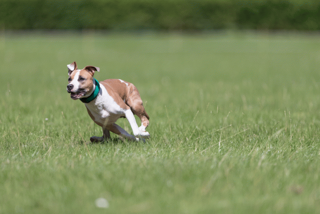 Cs3Q5679 20469388406 O