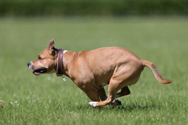 Cs3Q5672 20469392276 O