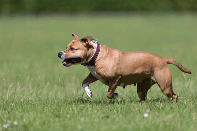 Cs3Q5663 20469398076 O