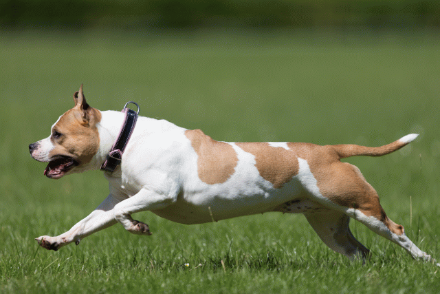 Cs3Q5648 20469403476 O