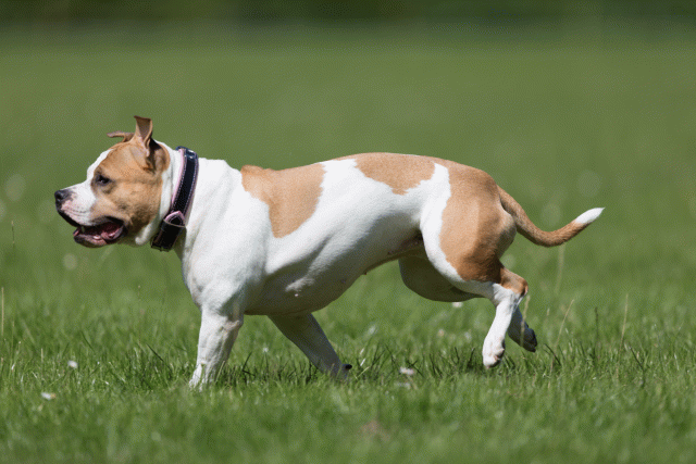 Cs3Q5646 20469406366 O