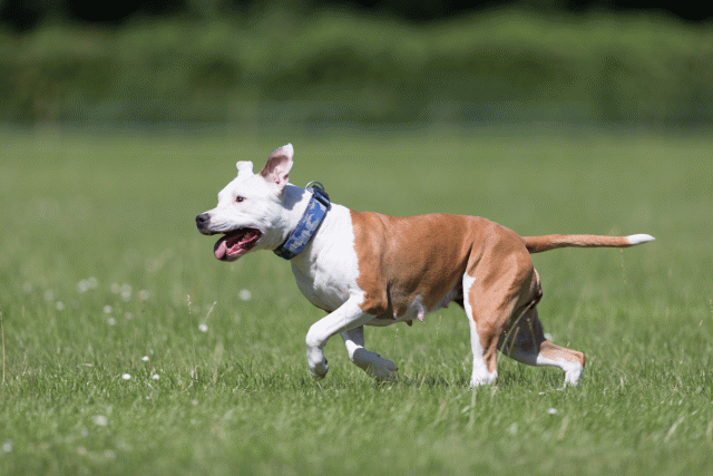 Cs3Q5624 20469425786 O