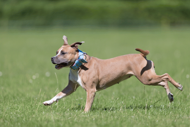 Cs3Q5611 20469440616 O