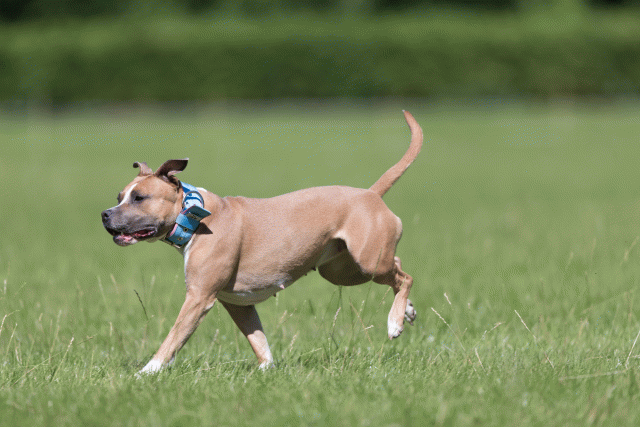 Cs3Q5604 20469450346 O