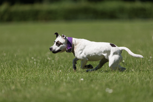 Cs3Q5575 20469466136 O