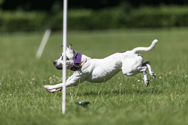 Cs3Q5573 20469470246 O