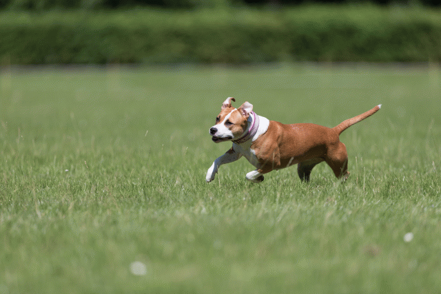 Cs3Q5546 20469508046 O