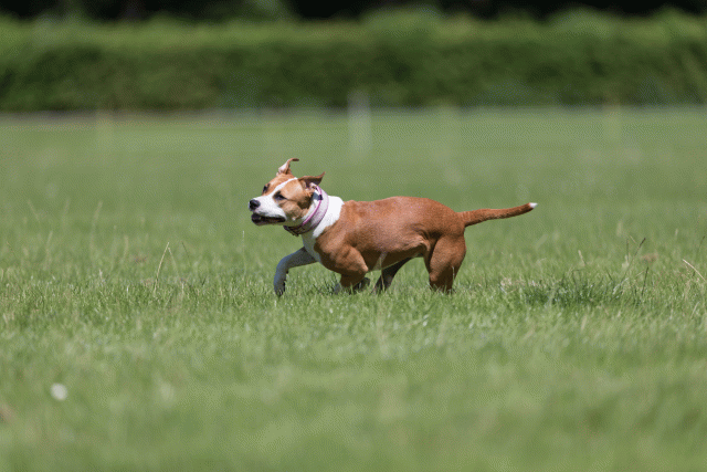 Cs3Q5543 20469511266 O