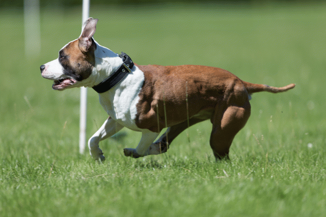 Cs3Q5540 20469514966 O